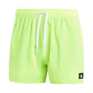 Boxer mare . lime