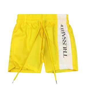 Boxer mare . giallo