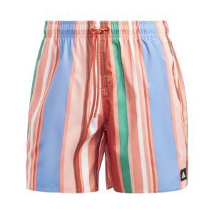 Boxer mare . multicolor