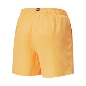 Boxer mare . giallo