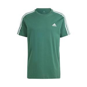 T-shirt . verde