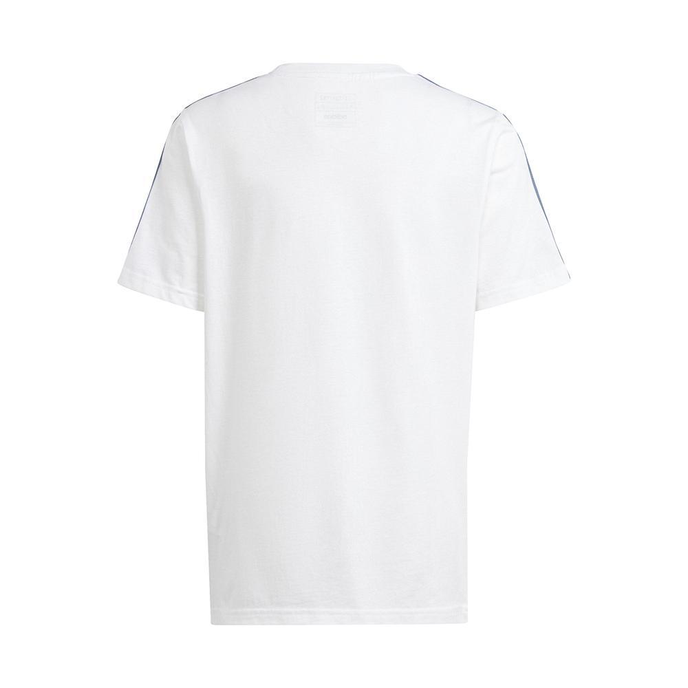 adidas t-shirt adidas. bianco