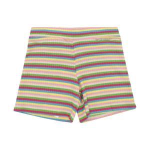 Shorts . multicolor