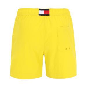 Boxer mare . giallo