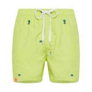 Boxer mare . lime