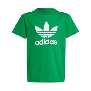 T-shirt . verde