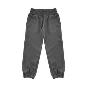 Pantalone . grigio